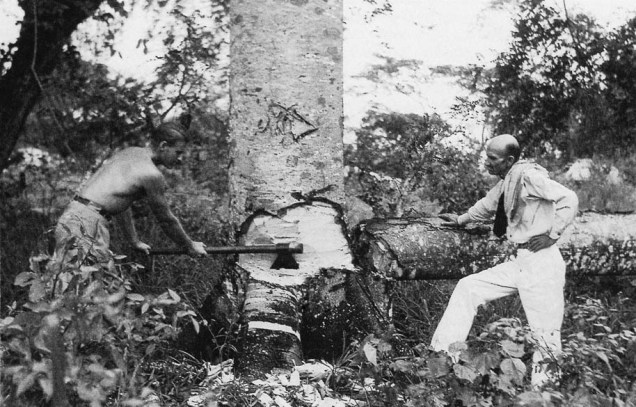 Membros da expedição derrubam árvore na selva do Equador para construção da jangada