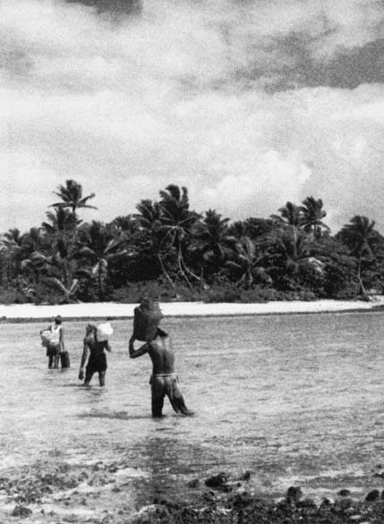 Da descrição de Heyerdahl: "Jamais esqueceremos a sensação que experimentamos ao pisar a areia quente e seca, depois de uma viagem de 101 dias feita de jangada"