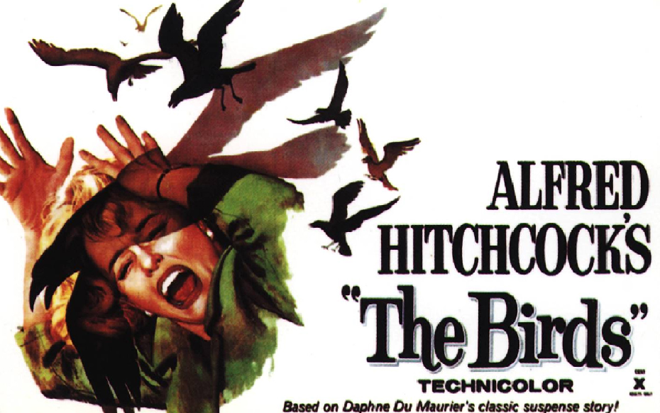 Detalhe de pôster do clássico de Alfred Hitchcock: neurotoxina faz os pássaros enlouquecerem