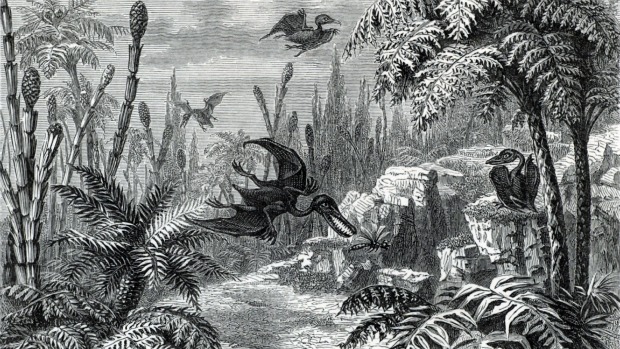 Concepção artística de uma floresta do período Jurássico: grilos ajudavam a fazer a trilha sonora 165 milhões de anos atrás