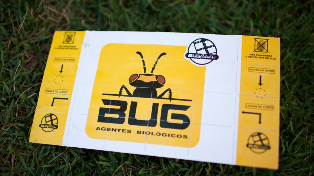 <p>A cartela da Bug consegue proteger 1 hectare de plantação. São 24 células destacáveis contendo ovos de vespas, colocadas a cada 20 metros de lavoura</p>