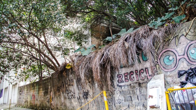 <p>Uma das nascentes do Rio Saracura fica num beco no fim da Rua Dr. Seng, na Bela Vista</p>