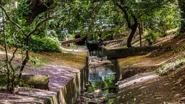 <p>Um dos raros rios destamponados de São Paulo, o Corujas corre a céu aberto por toda a extensão da Praça Dolores Ibarruri e por mais algumas centenas de metros no Parque Linear das Corujas. Em suas margens, muito verde e dezenas de pássaros</p>