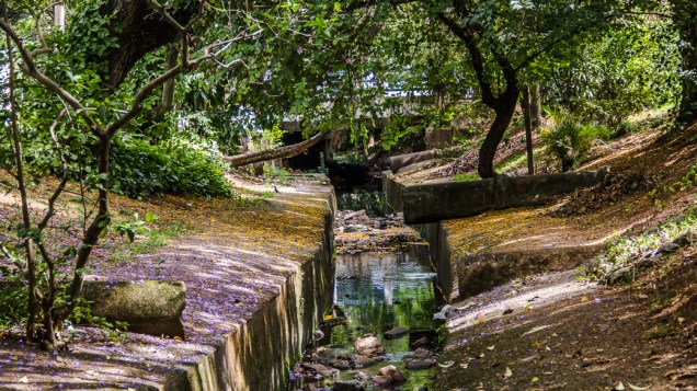 <p>Um dos raros rios destamponados de São Paulo, o Corujas corre a céu aberto por toda a extensão da Praça Dolores Ibarruri e por mais algumas centenas de metros no Parque Linear das Corujas. Em suas margens, muito verde e dezenas de pássaros</p> <p>Um dos raros rios destamponados de São Paulo, o Corujas corre a céu aberto por toda a extensão da Praça Dolores Ibarruri e por mais algumas centenas de metros no Parque Linear das Corujas. Em suas margens, muito verde e dezenas de pássaros</p>