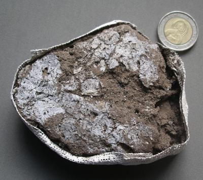 A imagem mostra uma pasta de ervas dentro de uma embalagem