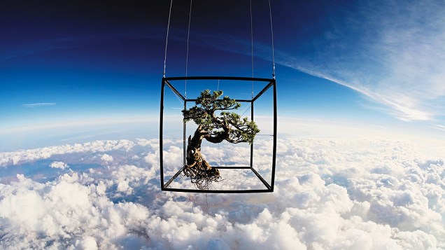 <p>O artista japonês Azuma Makoto colocou um bonsai e diversas outras plantas em um balão para produzir fotos como estas, para um projeto denominado Exobiotanica Above the clouds</p>