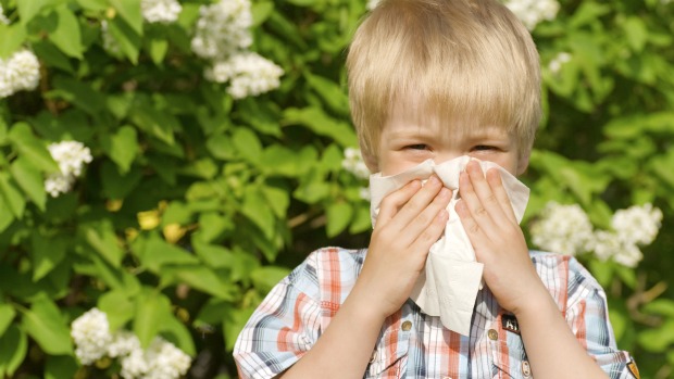 Doenças alérgicas: crianças com maiores índices do hormônio cortisol na saliva tendem a ter mais alergias