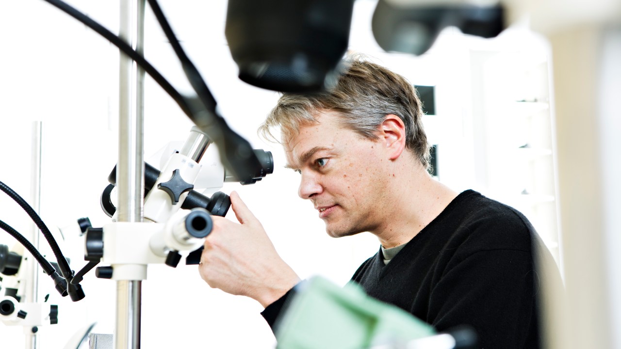 Edvard Moser, que ganhou o Nobel de Medicina 2014, durante pesquisa na Universidade Norueguesa de Ciência e Tecnologia, em 2008