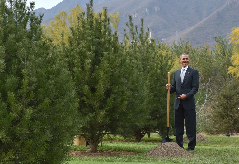 Barack Obama e outros chefes de Estado plantaram árvores em uma cerimônia na China