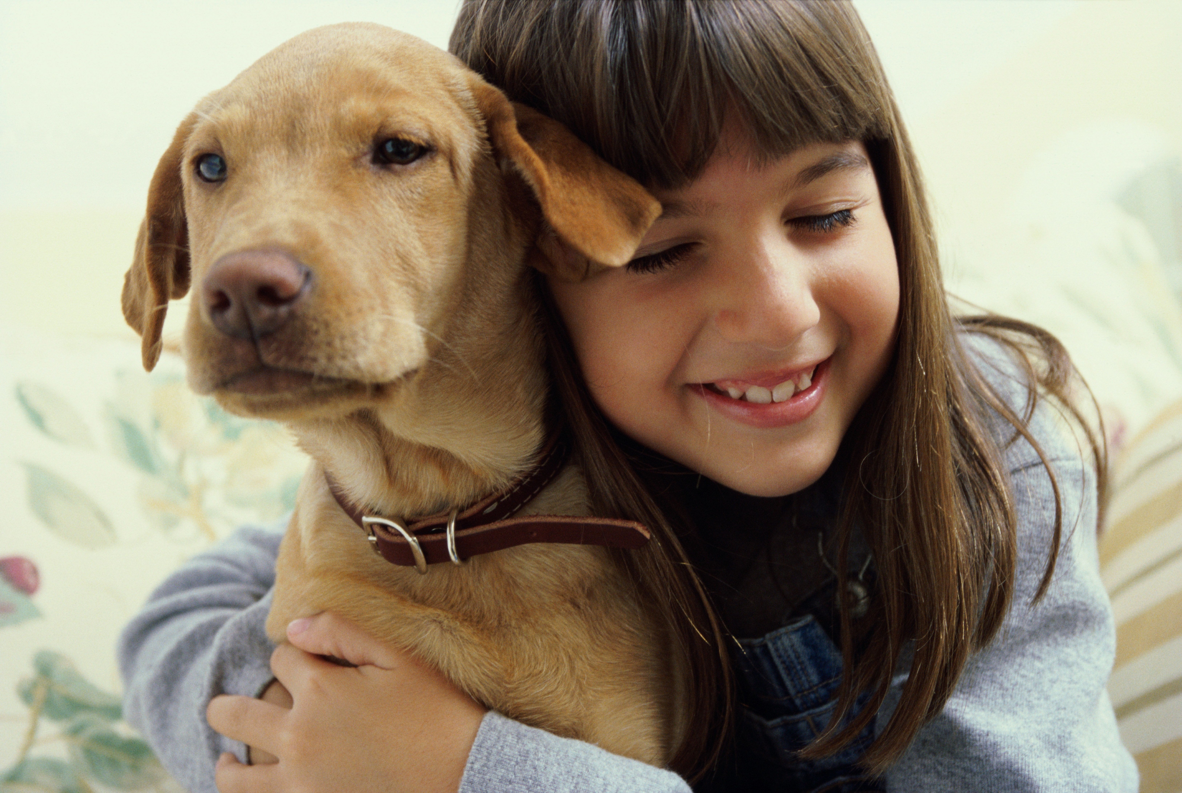 Viver com animais de estimação beneficia autistas | VEJA