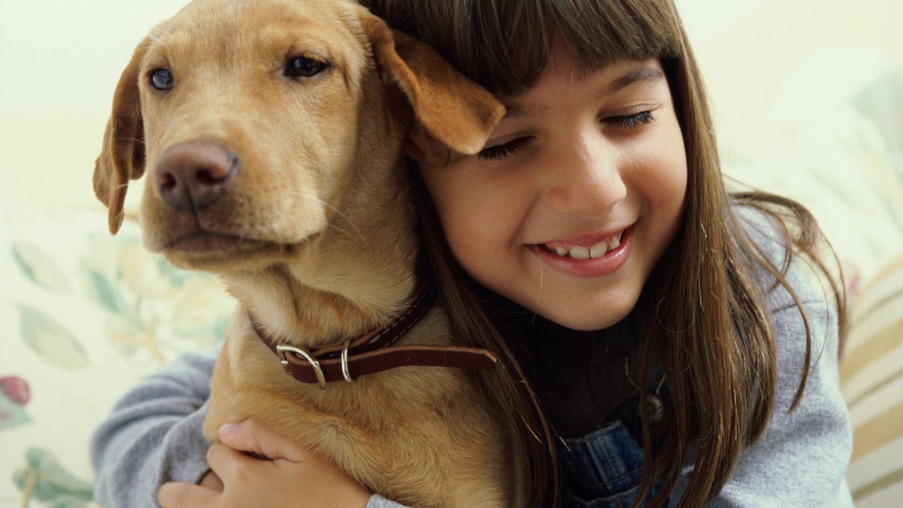 Animais de estimação: Cães, gatos e outros bichos são benéficos para o comportamento de crianças autistas