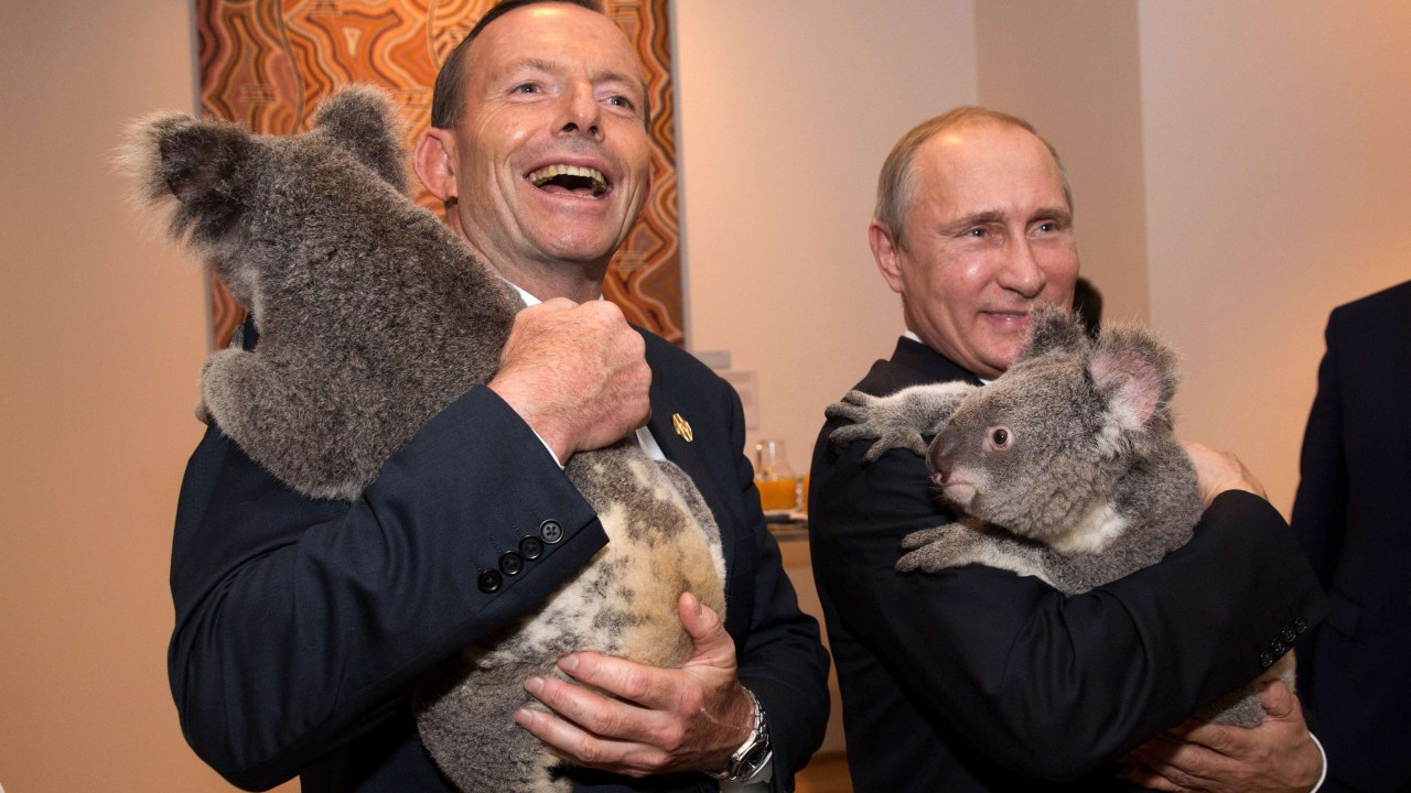 O primeiro-ministro australiano, Tony Abbott, e o presidente russo, Vladimir Putin, seguram coalas antes de encontro do G20 em Brisbane