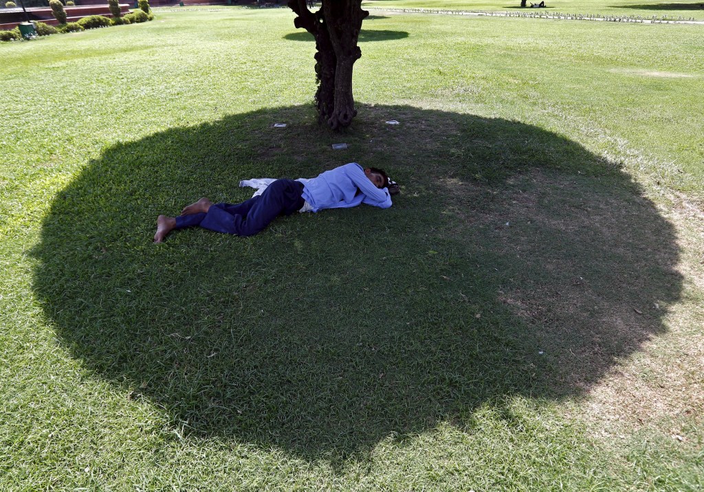 Homem descansa sob a sombra de uma árvore em um parque na Índia