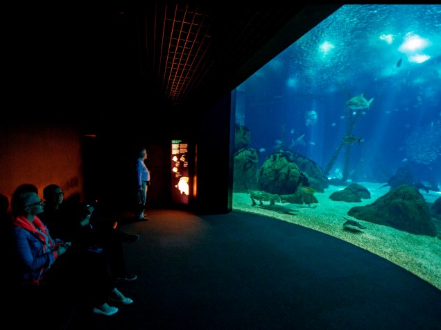 <p>O Oceanário de Lisboa foi inaugurado na Expo 98, que tinha o tema "Os Oceanos, um Patrimônio para o Futuro"</p>