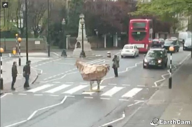 Uma galinha gigante foi vista cruzando a Abbey Road, em Londres