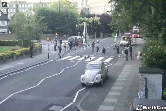 Pinguins atravessando a Abbey Road, em Londres