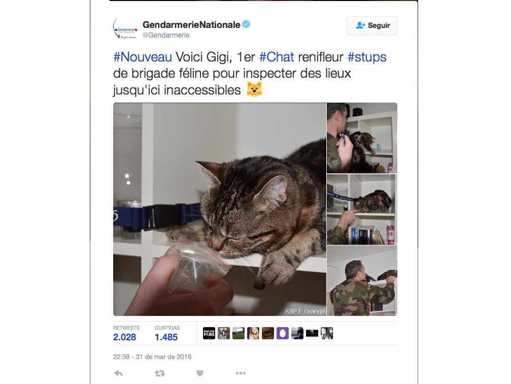 Polícia francesa faz piada referente ao primeiro de abril, pelo Twitter