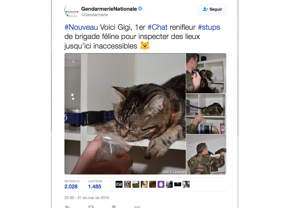 Polícia francesa faz piada referente ao primeiro de abril, pelo Twitter
