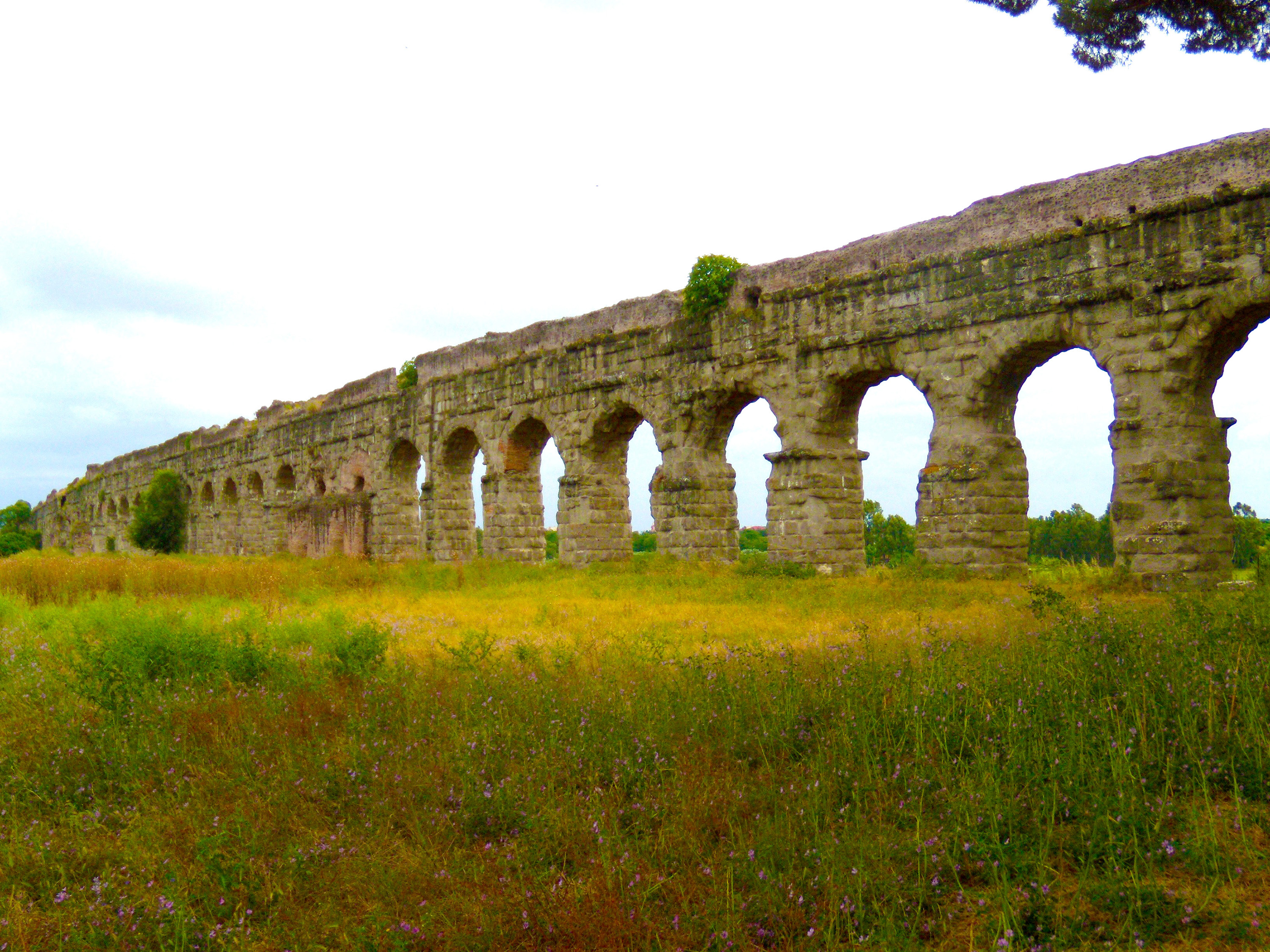 Sistemas sanitários abastecidos por aquedutos como o de Roma Veccia (foto), podem ter ajudado a espalhar diversas espécies de parasitas pela Europa