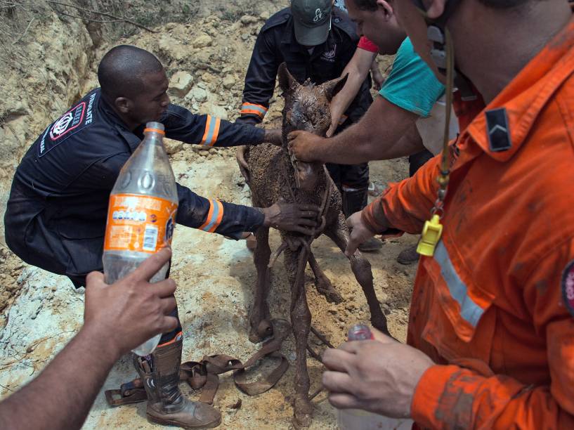 O rompimento de uma barragem de rejeitos da mineradora Samarco que causou uma enxurrada de lama e inundou várias casas no distrito de Bento Rodrigues, em Mariana (MG), na tarde desta quinta-feira (5), são alojadas no Ginásio Arena, no bairro Jardim dos Inconfidentes