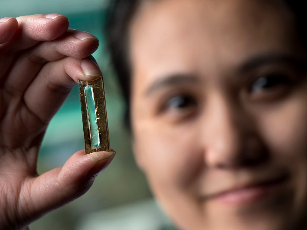 A cientista Mya Le Thai, com o novo componente criado pela UCI, feito de filamentos de ouro finíssimos recobertos por um gel de eletrólitos