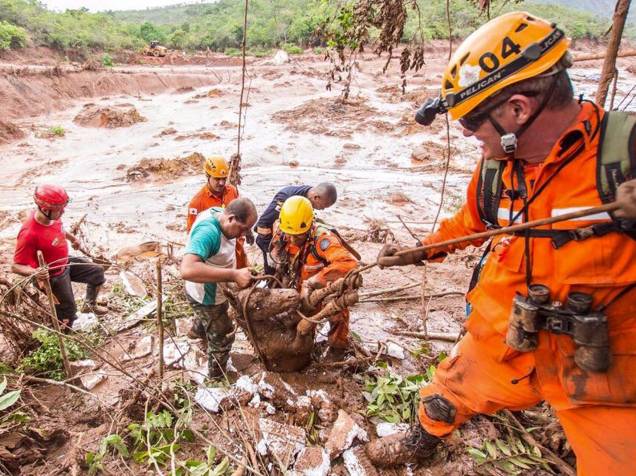 Equipe dos bombeiros resgata um cavalo em meio à lama que cobriu o distrito de Bento Rodrigues, em Mariana (MG)