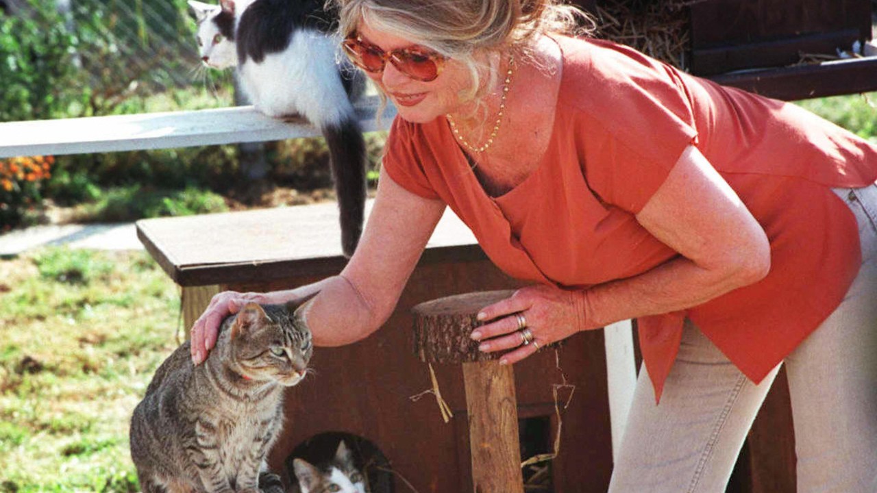 A atriz Brigitte Bardot, conhecida por proteger os animais, escreveu em julho uma carta ao governo australiano criticando o plano do país de assassinar os gatos
