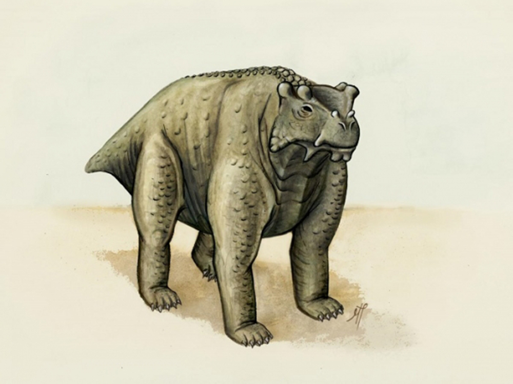 O herbívoro tinha o tamanho e porte de uma vaca e possuía cauda e cabeça pequenas.