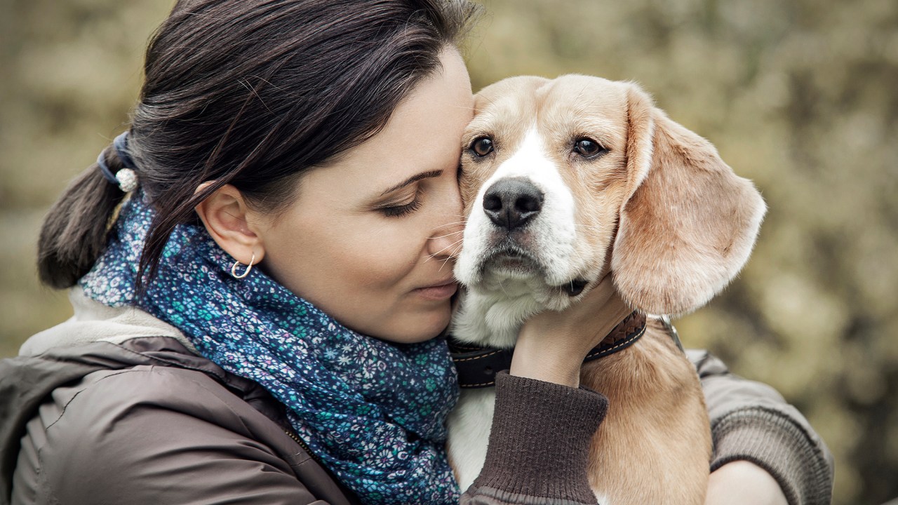 De acordo com os cientistas, a capacidade dos cães em reconhecer emoções humanas pode ter sido essencial para a permanência desses animais entre nós.