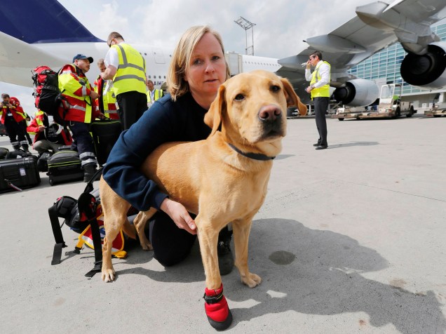  Cão da instituição de resgate alemã ISAR (International Search and Rescue) aguarda no aeroporto de Frankfurt, na Alemanha, para embarcar para o Nepal em uma missão de apoio ao país que sofreu o pior abalo sísmico desde 1934