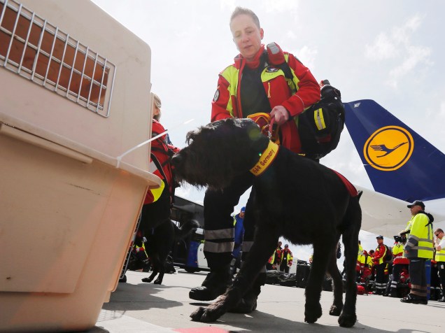 Cão da instituição de resgate alemã ISAR (International Search and Rescue) embarca para o Nepal em uma missão de apoio ao país