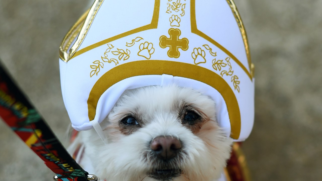 Um cão vestido como o papa participa da Parade Halloween Dog naTompkins Square em Nova York