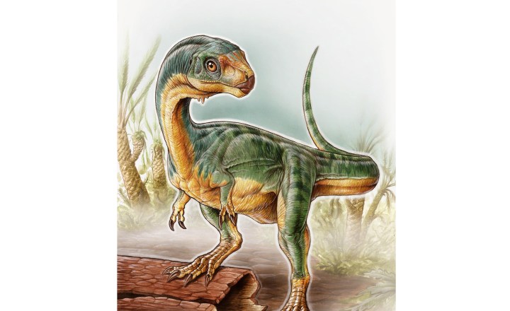 Nova espécie gigante de dinossauro é descoberta no Deserto do Atacama -  Revista Galileu