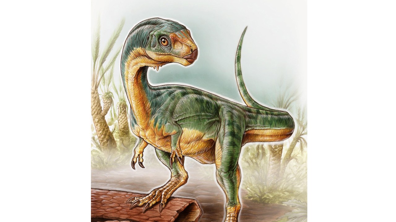 Arte mostrando um Chilesaurus diegosuarez