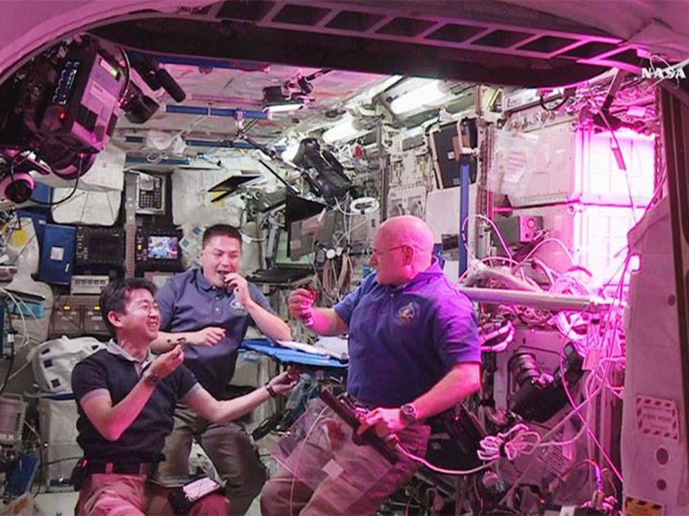 Astronautas comem alface no espaço a bordo da Estação Espacial Internacional