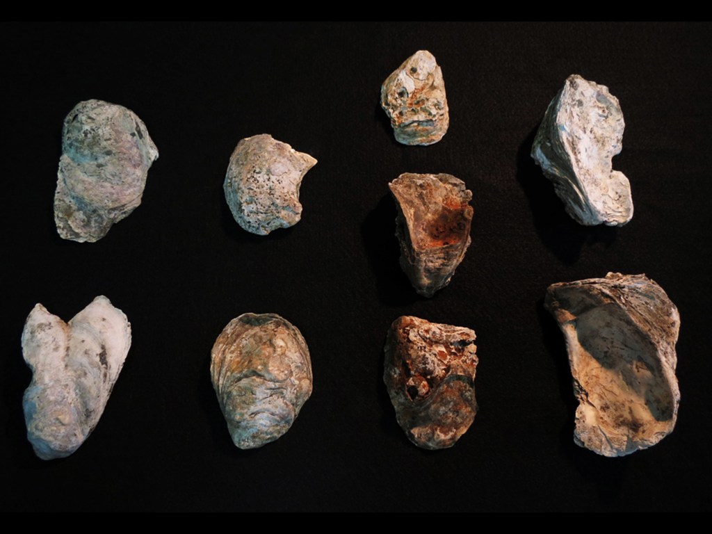 Os artefatos estavam em sambaquis (depósitos orgânicos e calcários de povos caçadores-coletores) descobertos por arqueólogos em meio ao material recolhido em 2013 no canteiro de obras do metrô