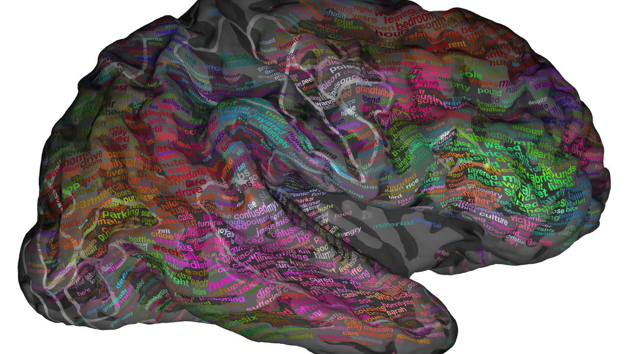 Ilustração do 'Atlas da linguagem' no cérebro, mostrando como se dá a distribuição do significado de grupos de palavras semelhantes