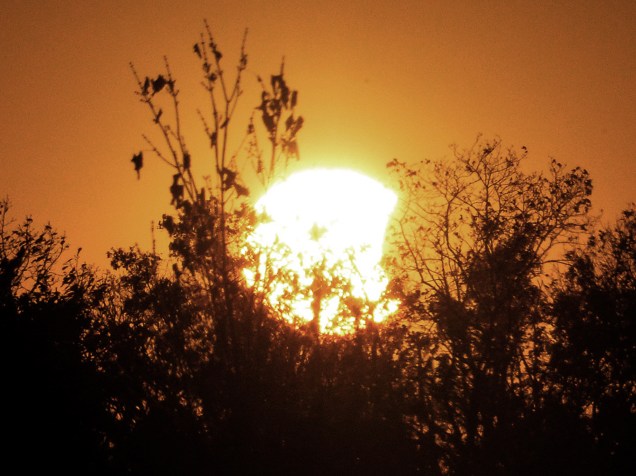 <p>Eclipse solar é visto parcialmente enquanto o sol se põe em Winchester, Virgínia, nos Estados Unidos</p>