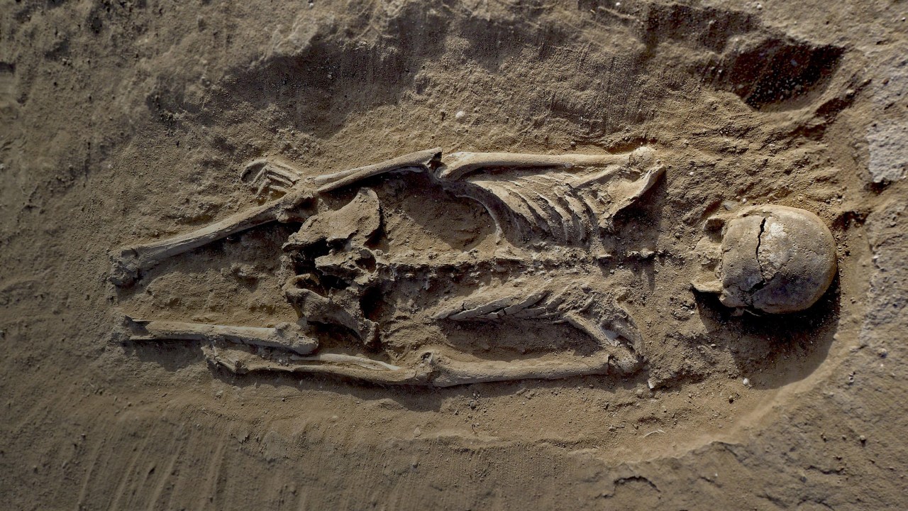 Esqueleto de um homem, encontrado deitado de bruços nos sedimentos de uma lagoa 30 Km a oeste do lago Turkana, no Quênia, em um lugar chamado Nataruk. De acordo com um grupo de cientistas da Universidade de Cambridge, os fósseis encontrados nesse lugar são a evidência mais antiga de guerra humana ocorrida há mais de 10 mil anos