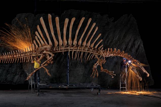 Trabalhadores fazem os acabamentos em um esqueleto em tamanho natural do Spinosaurus criado anatomicamente a partir de dados digitais. O 'Spinosaurus' será tema de uma mostra no National Geographic Museum, em Washington, EUA, que abre em 12 de setembro, e de um especial na televisão americana