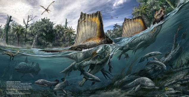 A única espécie conhecida de dinossauro adaptada à vida na água, o Spinosaurus nadou nos rios do Norte de África há uma centena de milhões de anos. O enorme predador viveu em uma região majoritariamente desprovida de grandes herbívoros terrestres, subsistindo principalmente da pesca. A imagem é da edição de outubro da revista National Geographic