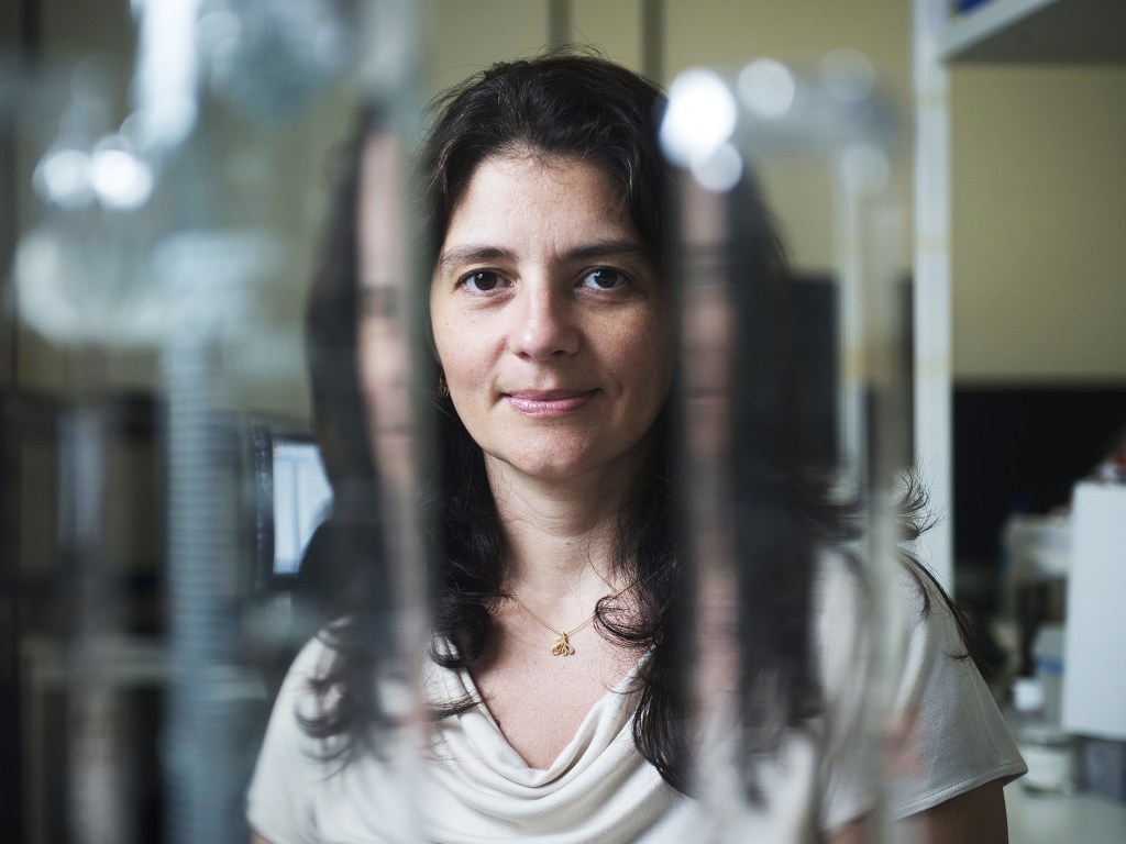 A neurocientista Suzana Herculano-Houzel, pesquisadora da UFRJ (Universidade Federal do Rio de Janeiro)