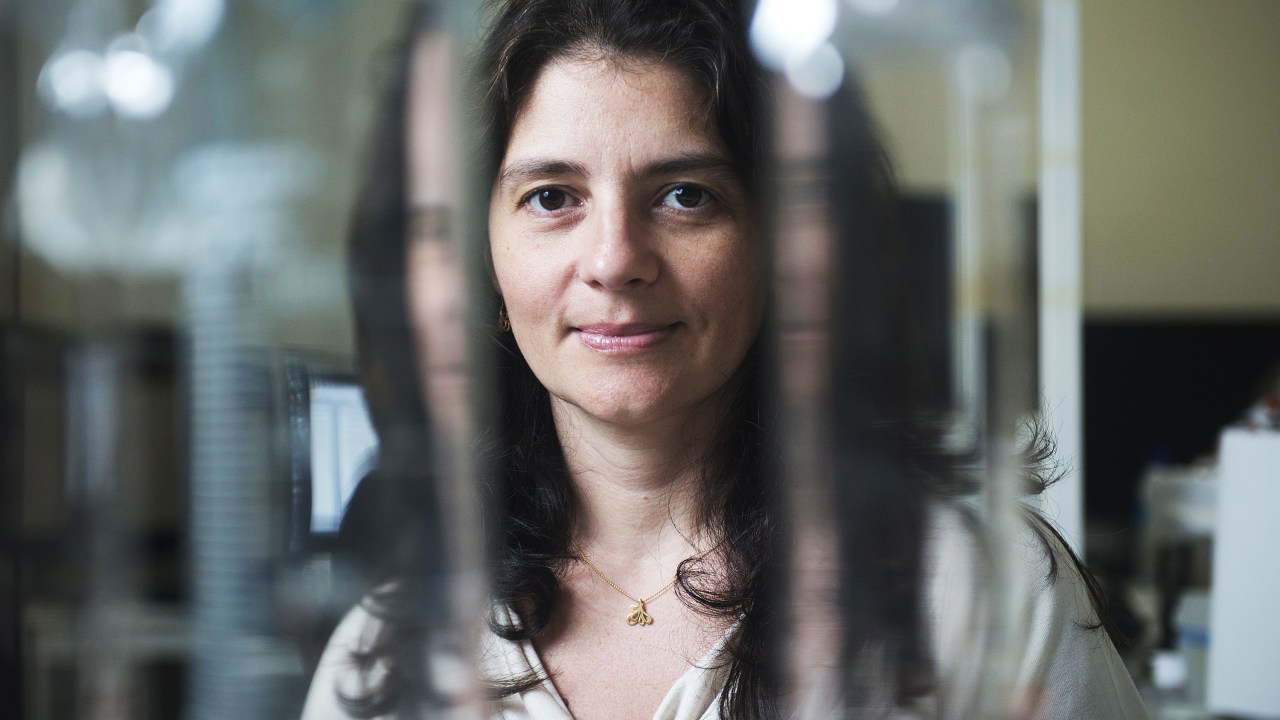 A neurocientista Suzana Herculano-Houzel, pesquisadora da UFRJ (Universidade Federal do Rio de Janeiro)
