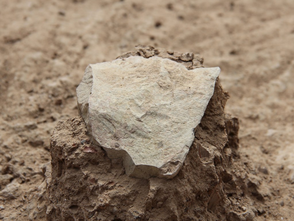 Ferramenta achada é 500 mil anos mais velha que fóssil do gênero Homo
