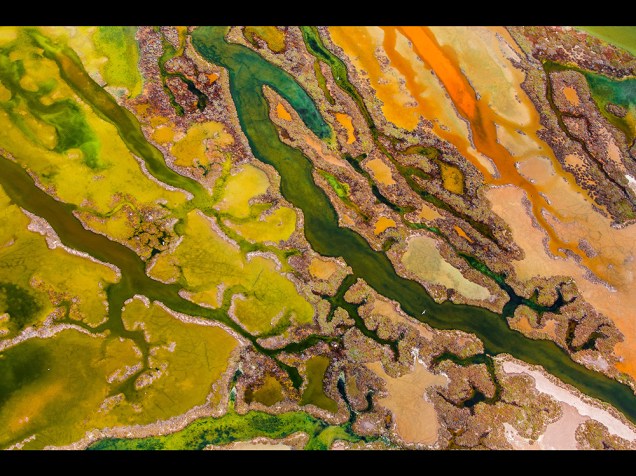 <p>A foto do espanhol Pere Soler foi uma das vencedoras com o retrato a mistura de algas, depósitos de sal e sedimentos marrons e alaranjados no Parque Natural da Baía de Cádiz. </p>