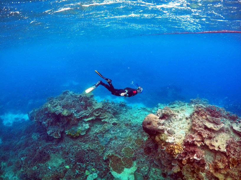 <p>Peter Gash, proprietário e gerente do Lady Elliot Eco Resort, mergulha para inspecionar as condições de parte dos recifes e corais do local</p>