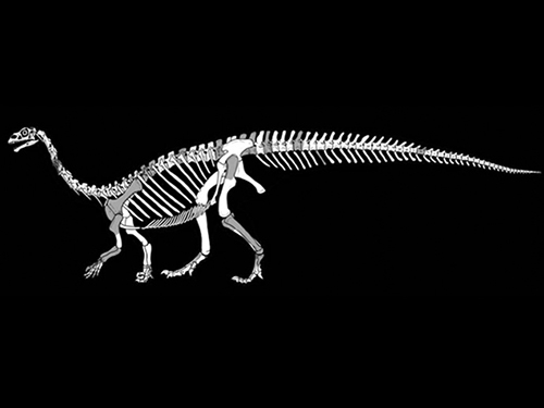 O novo animal tem 200 milhões de anos e era da África do Sul