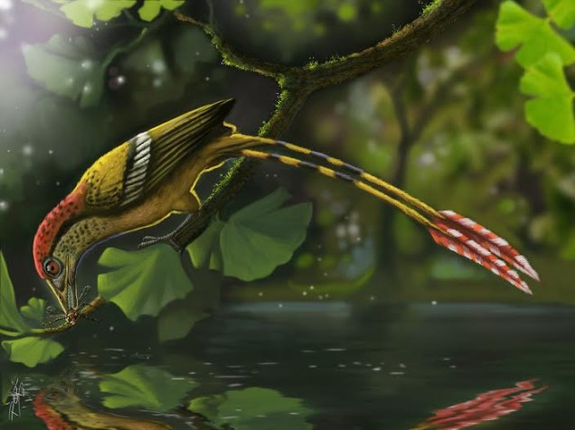 <p>Representação artística de como seria a ave mais antiga do Brasil, com base no fóssil encontrado no Ceará</p>