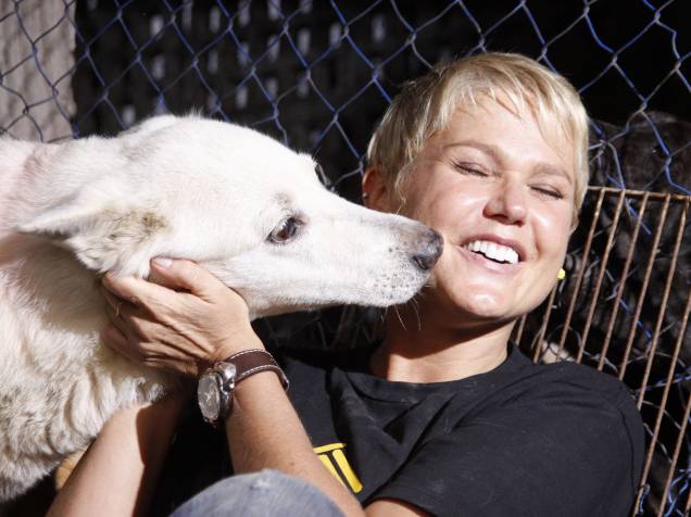 Xuxa durante a campanha mundial Adotar é tudo de Bom, em um abrigo de animais abandonados, na cidade de Jacarepaguá - 2011