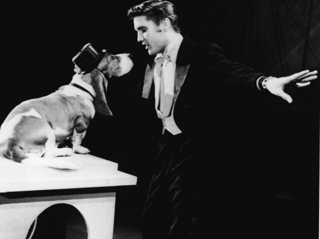 Elvis Presley contracena com cão basset e canta Hound Dog no set deThe Steve Allen Show, em julho de 1956
